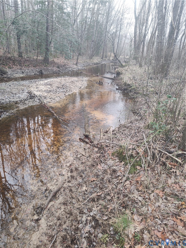 19001 Old Stage Road Dinwiddie, VA 23841 - Photo 77 of 84