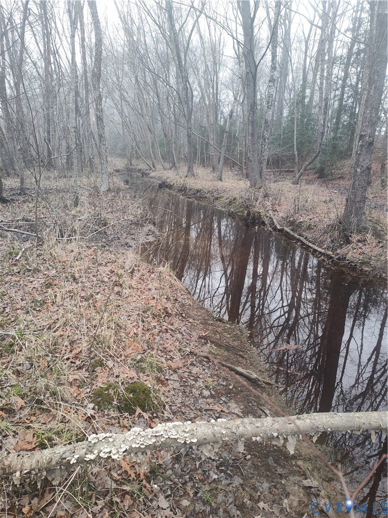 19001 Old Stage Road Dinwiddie, VA 23841 - Photo 78 of 84 a view of a yard with trees