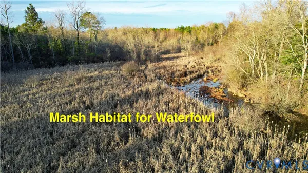 a living room with furniture and a gate