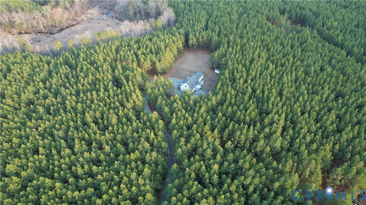 19001 Old Stage Road Dinwiddie, VA 23841 - Photo 82 of 84 a close up of a plant in a garden