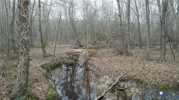 $479,500 | 19001 Old Stage Road, Dinwiddie, VA 23841