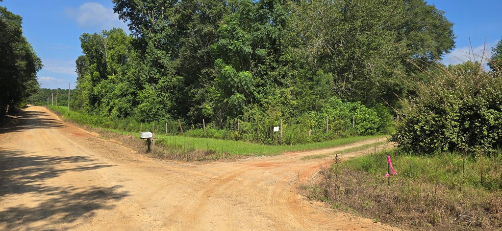4739 Wallace Buie Road Columbia, AL 36319 - Photo 22 of 54