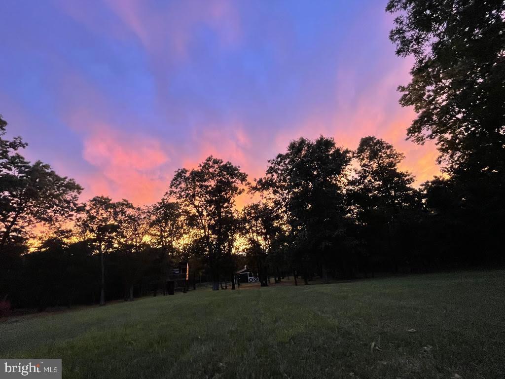 20 Tin House Road Medford, NJ 08055 - Photo 47 of 62