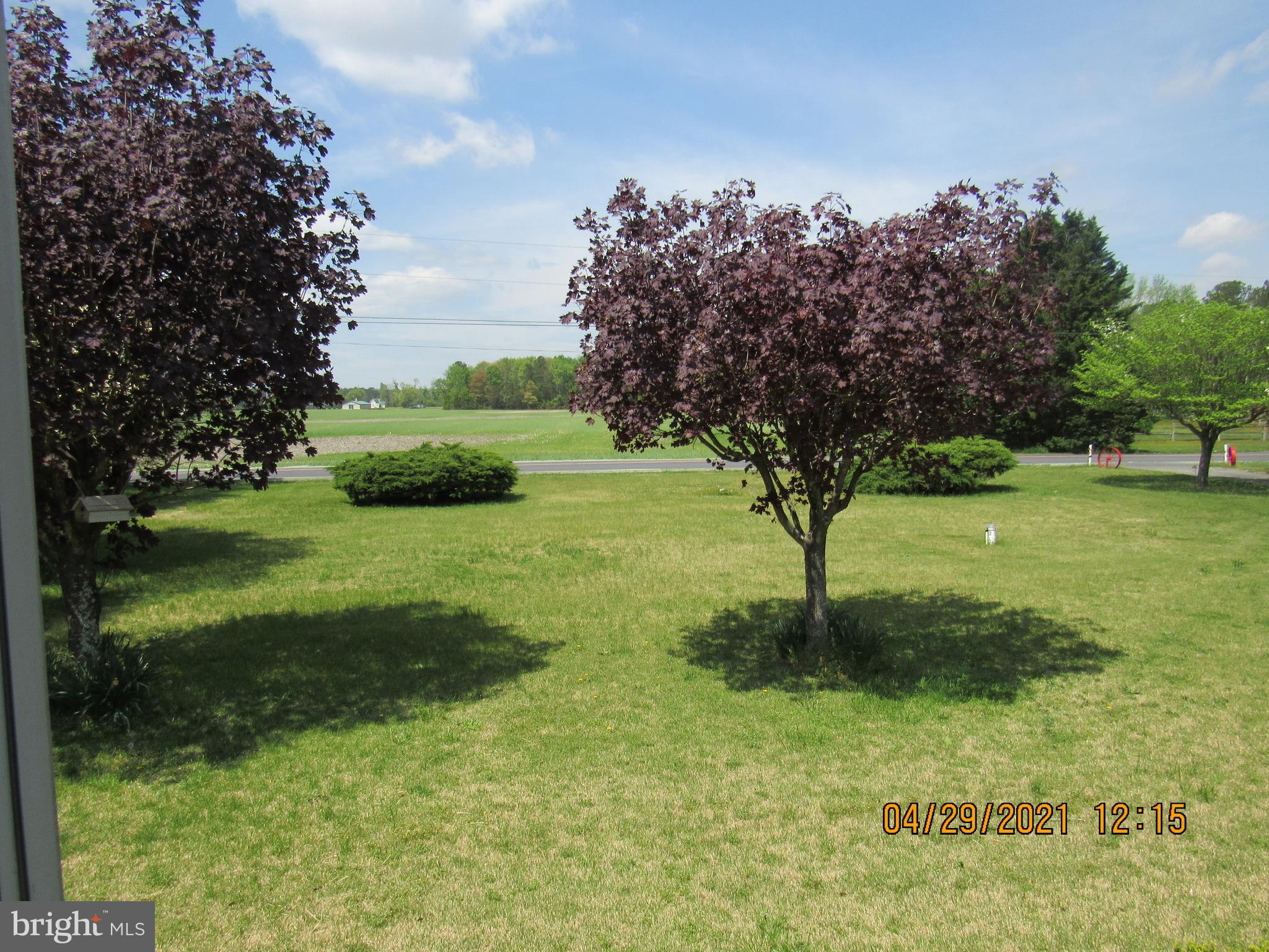 20697 Cool Spring Road Milton, DE 19968 - Photo 3 of 22 Gallery Image 3