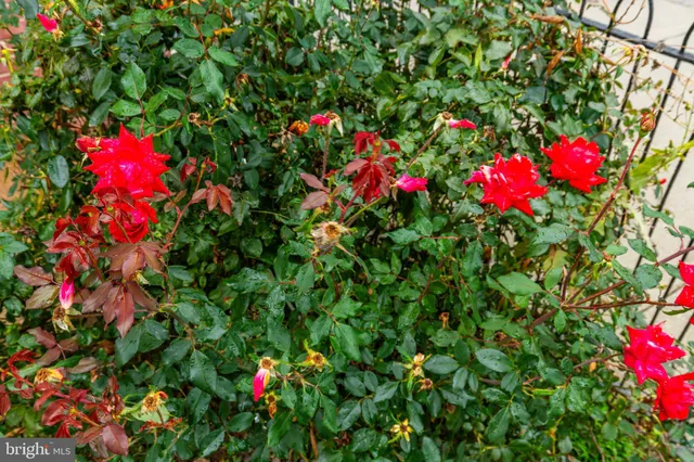 $2,600 | 32 East Elm Street, Norristown, PA 19401