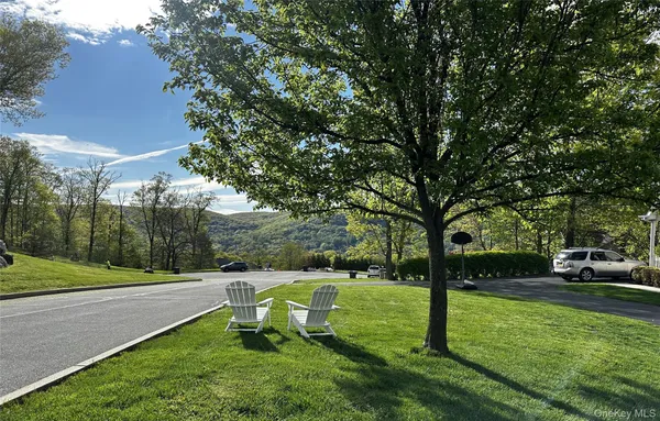 a view of a park with large trees