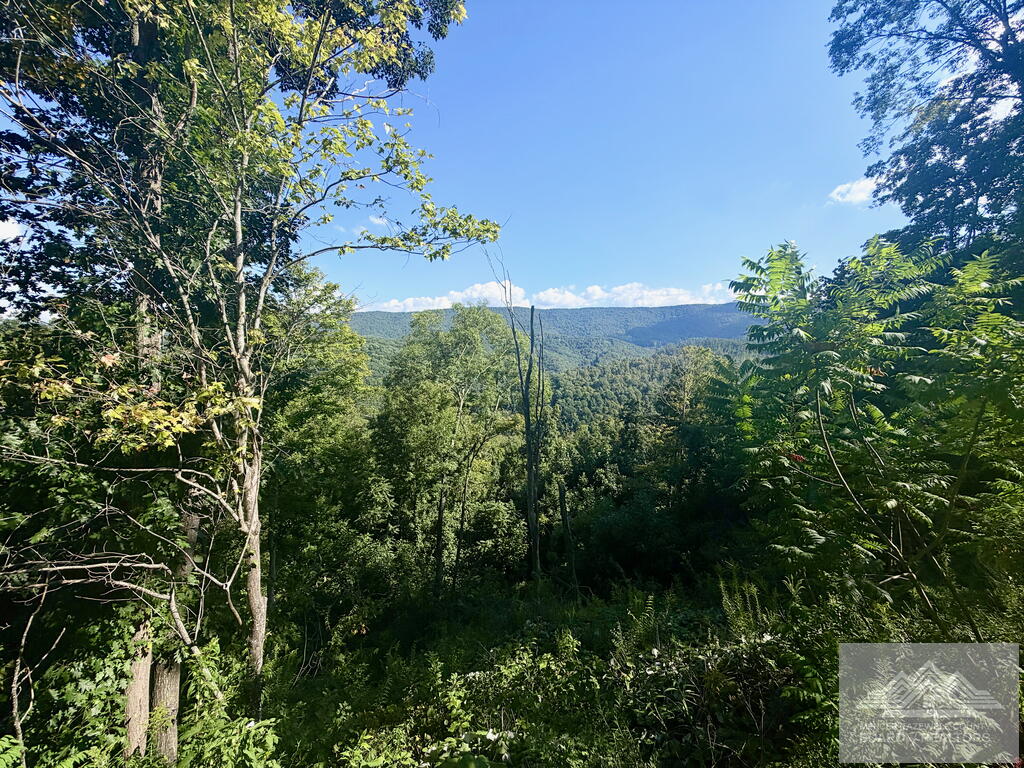 0 Country Girl Road Bluefield, WV 24701 - Photo 13 of 15 Gallery Image 13