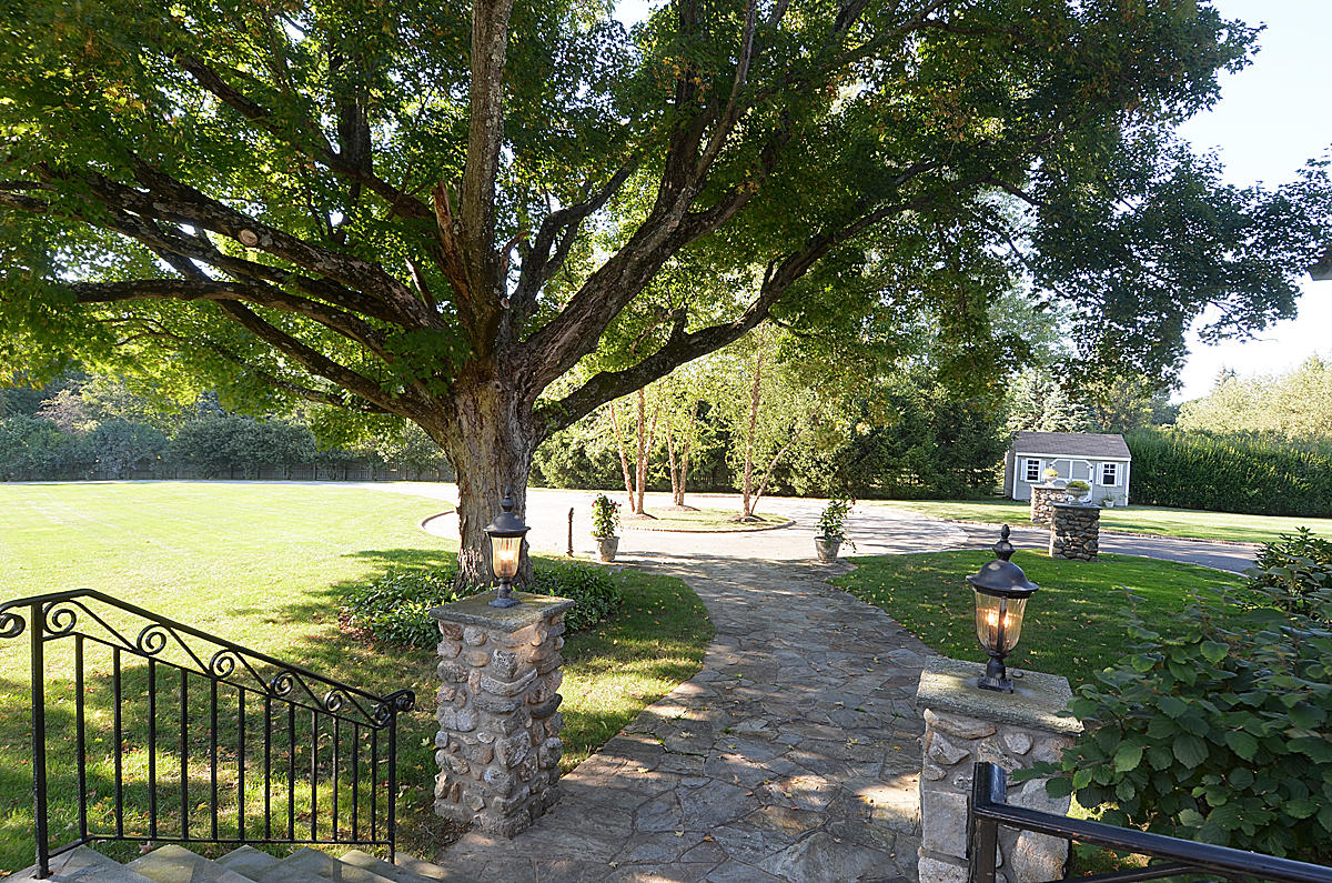 1081 Ponus Ridge Road New Canaan, CT 06840 - Photo 4 of 37 a park view with a fountain