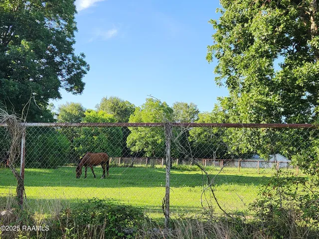 $190,000 | 226 South Dossman Street, Ville Platte, LA 70586