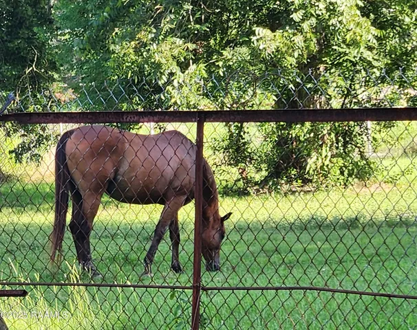 $190,000 | 226 South Dossman Street, Ville Platte, LA 70586
