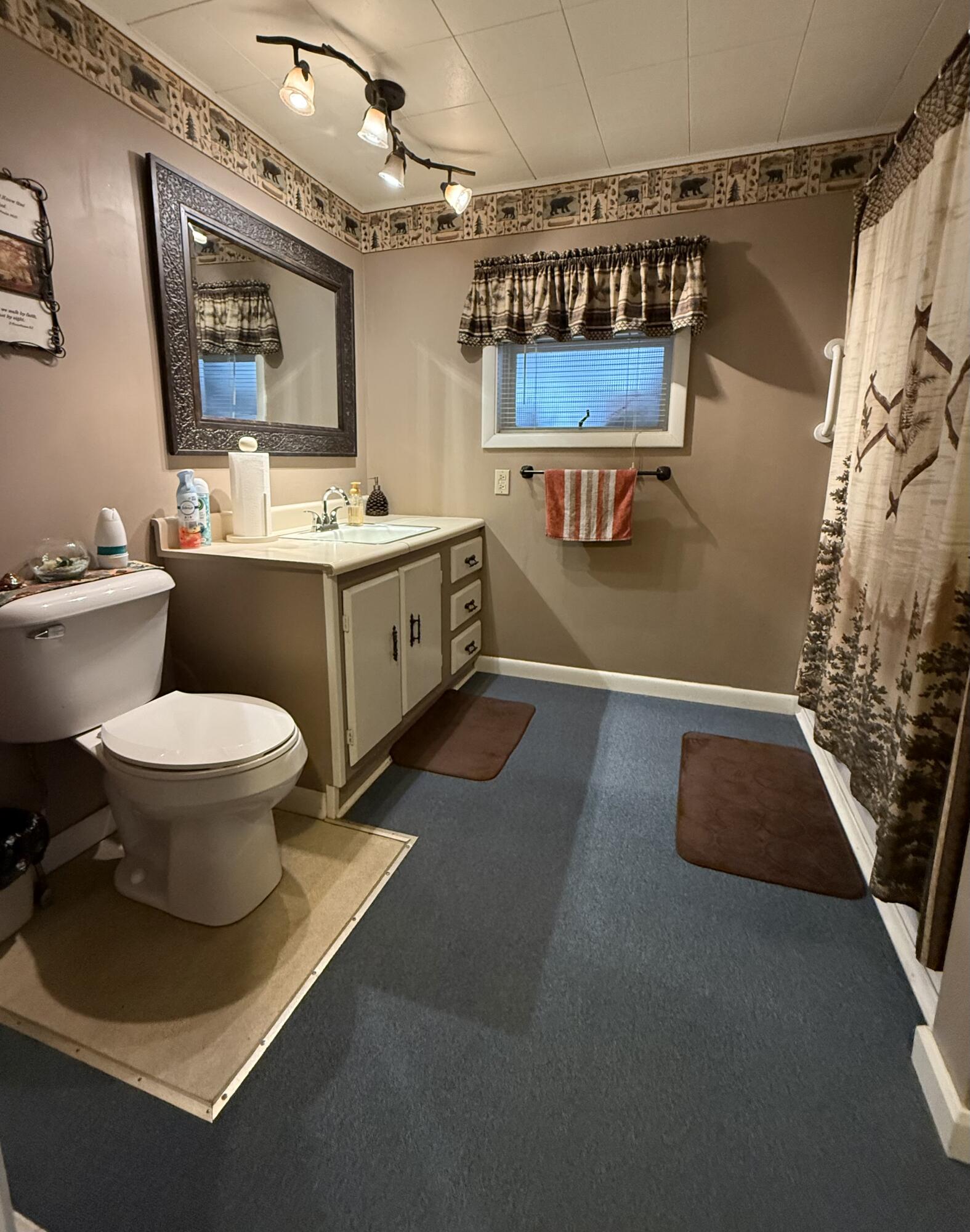 110 Ragged Lk Road Owls Head, NY 12969 - Photo 13 of 23 Gallery Image 13