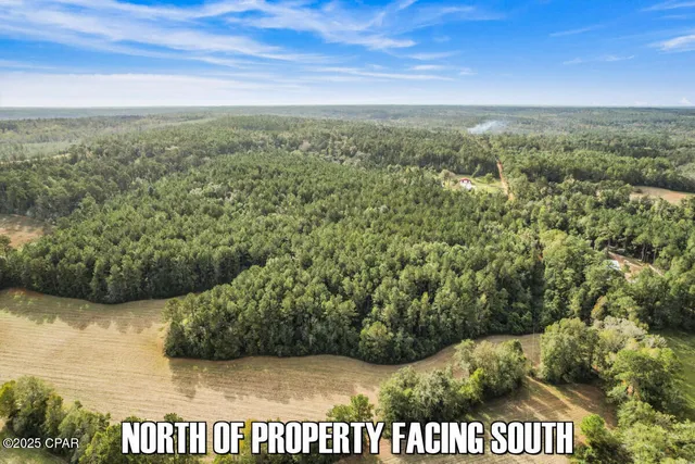 $83,700 | 0 Ambus Lane, Chipley, FL 32428
