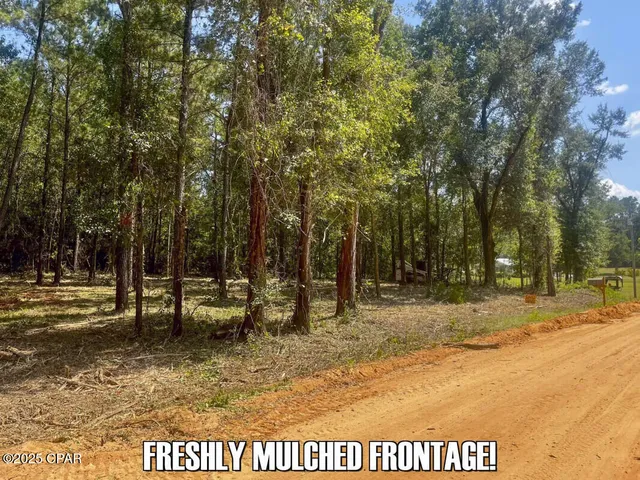 $83,700 | 0 Ambus Lane, Chipley, FL 32428