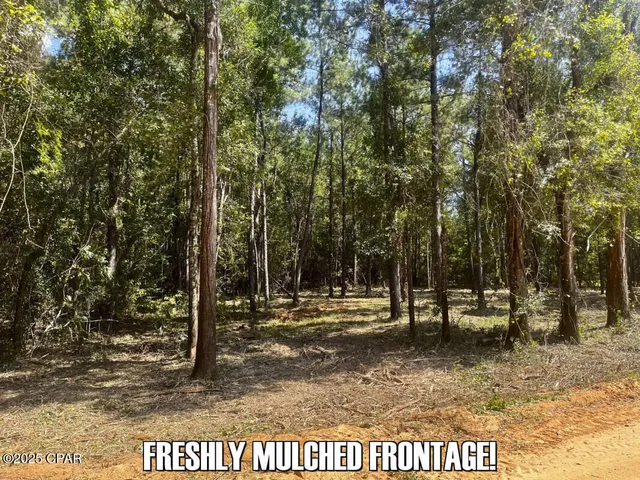 $83,700 | 0 Ambus Lane, Chipley, FL 32428