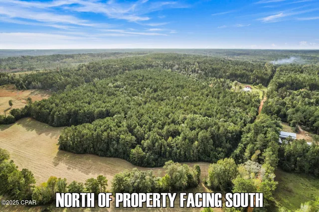 $83,700 | 0 Ambus Lane, Chipley, FL 32428