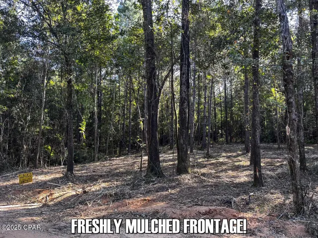 $83,700 | 0 Ambus Lane, Chipley, FL 32428