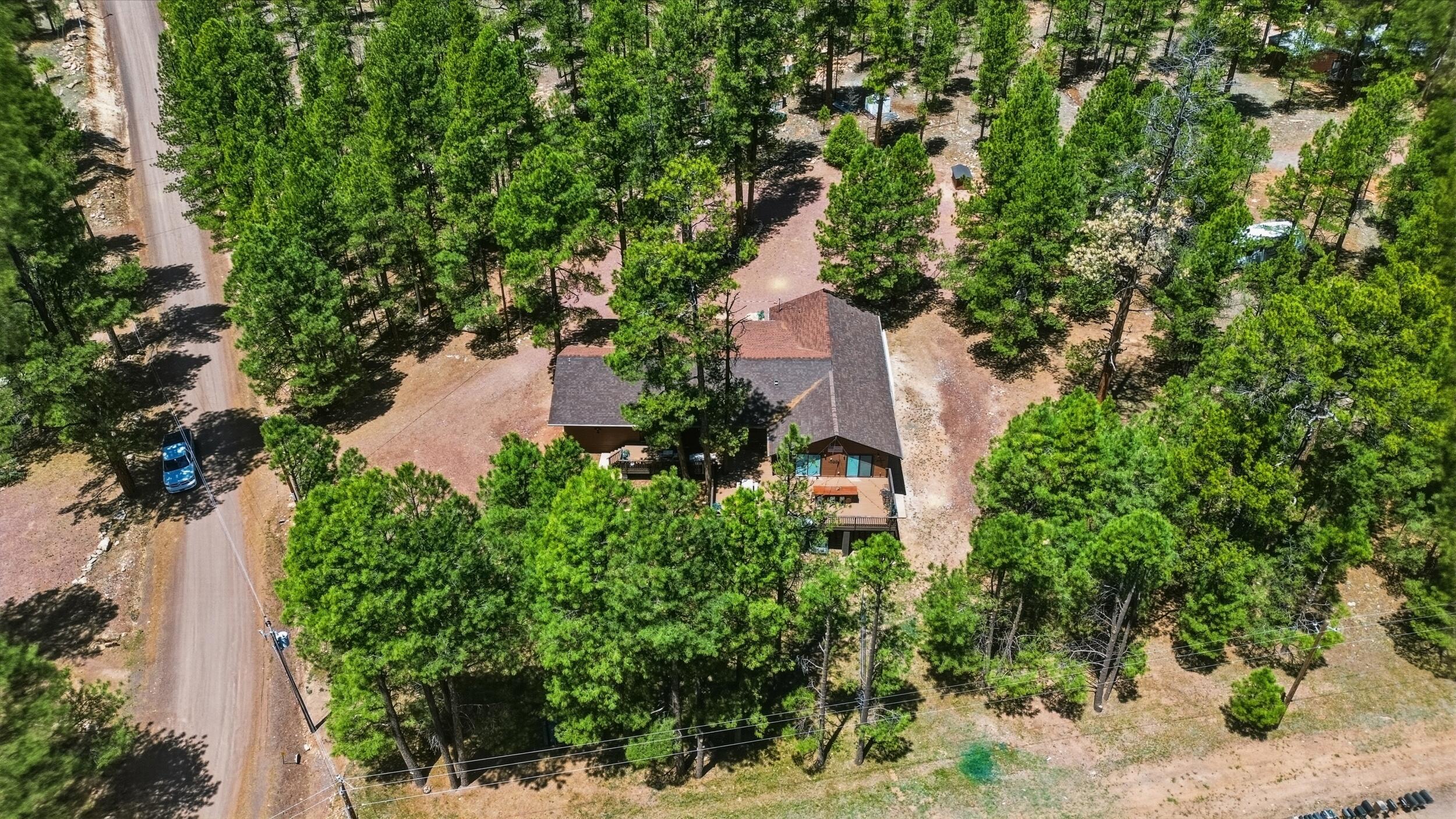 856 Coconino Loop Happy Jack, AZ 86024 - Photo 47 of 51