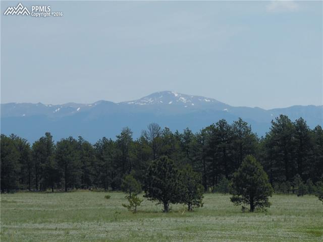 1090 Doe Valley Road Guffey, CO 80820 - Photo 2 of 15 Frame Pikes Peak in your picture window!