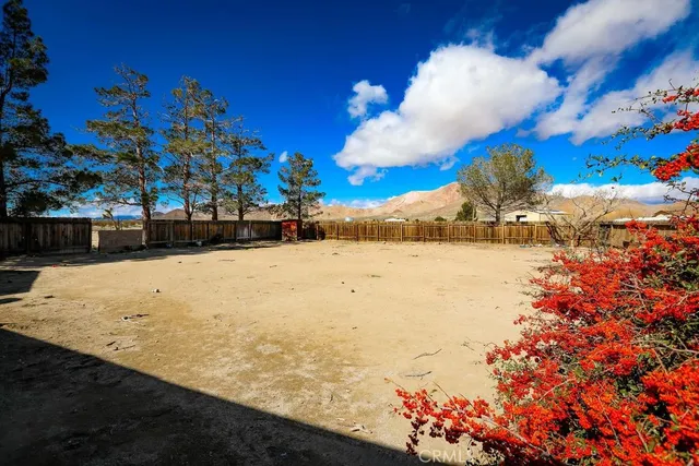 a view of ocean with snow