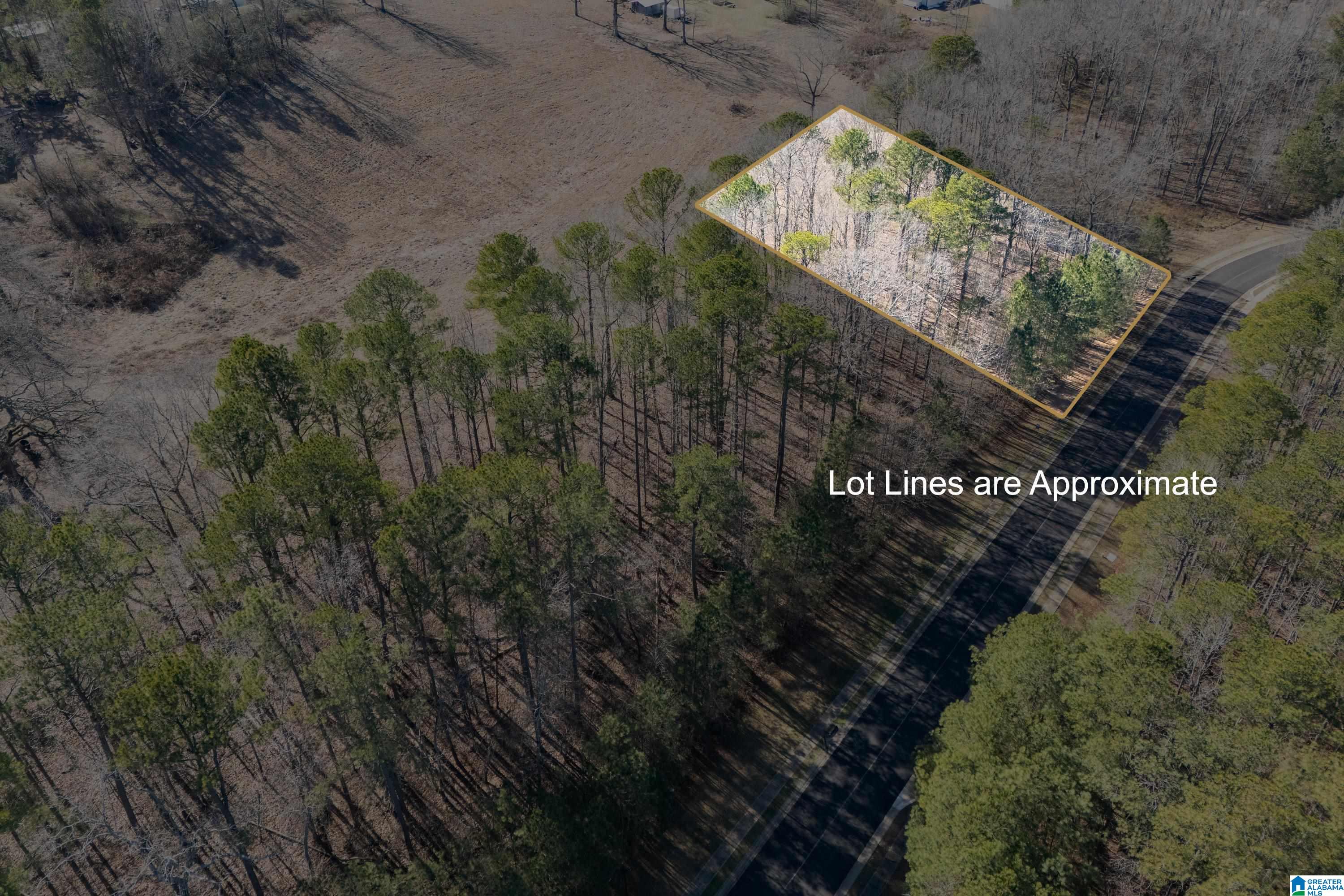 100 Coves Drive Vincent, AL 35178 - Photo 10 of 21