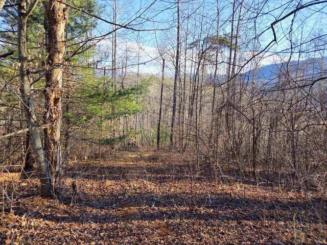 $99,950 | 0 Day Break Lane, Boones Mill, VA 24065