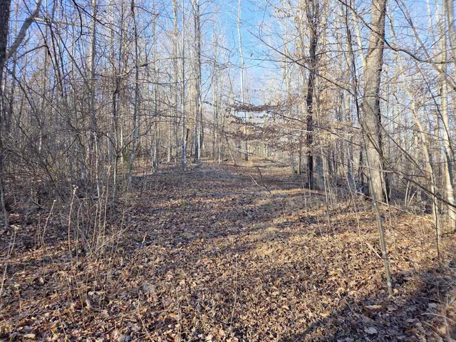 $99,950 | 0 Day Break Lane, Boones Mill, VA 24065