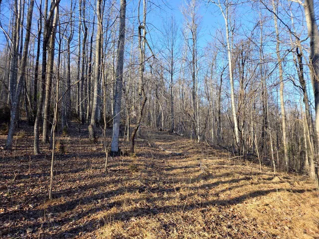 $99,950 | 0 Day Break Lane, Boones Mill, VA 24065