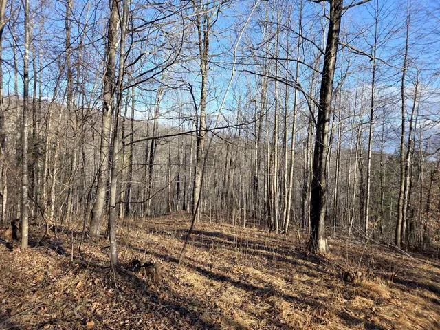 $99,950 | 0 Day Break Lane, Boones Mill, VA 24065