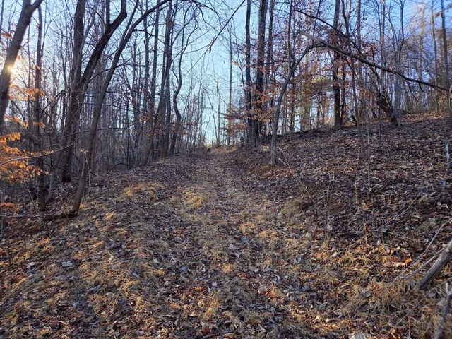 $99,950 | 0 Day Break Lane, Boones Mill, VA 24065