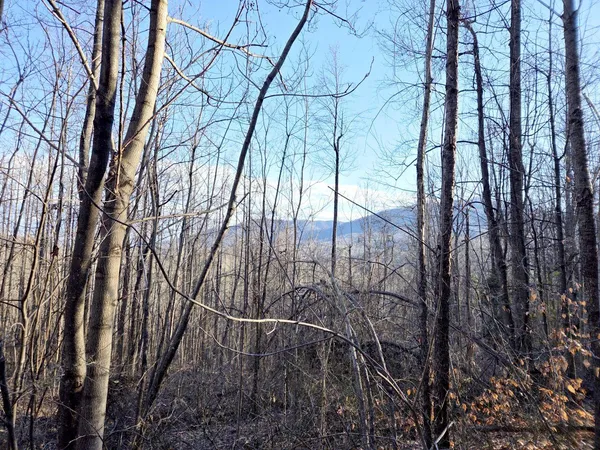 a view of covered with snow