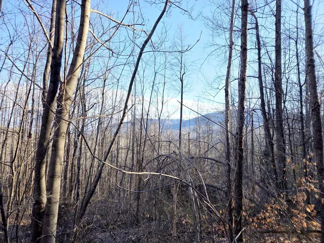 $99,950 | 0 Day Break Lane, Boones Mill, VA 24065