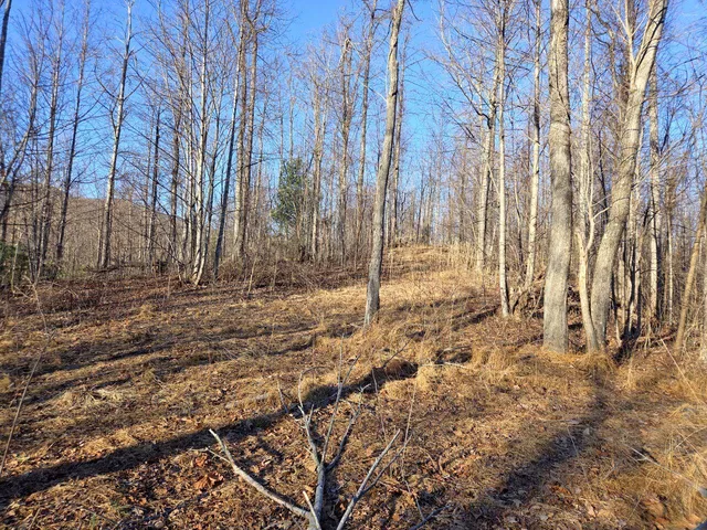 $99,950 | 0 Day Break Lane, Boones Mill, VA 24065