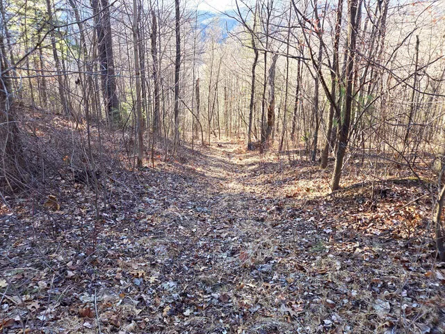 $99,950 | 0 Day Break Lane, Boones Mill, VA 24065