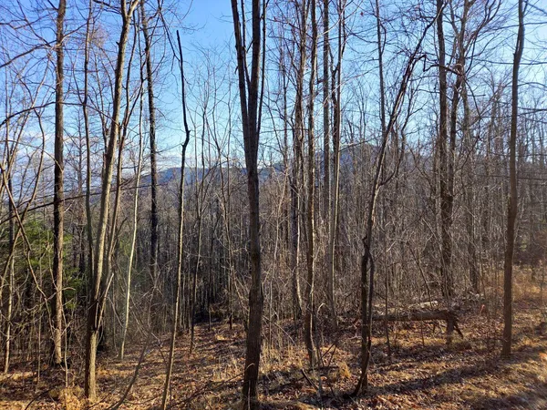 a view of a backyard of the house