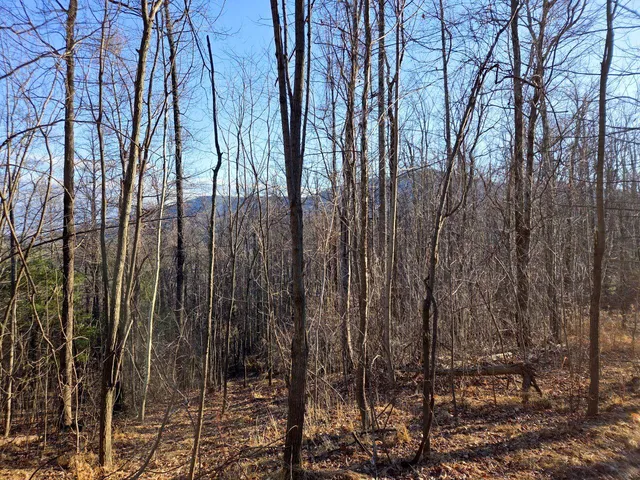 $99,950 | 0 Day Break Lane, Boones Mill, VA 24065