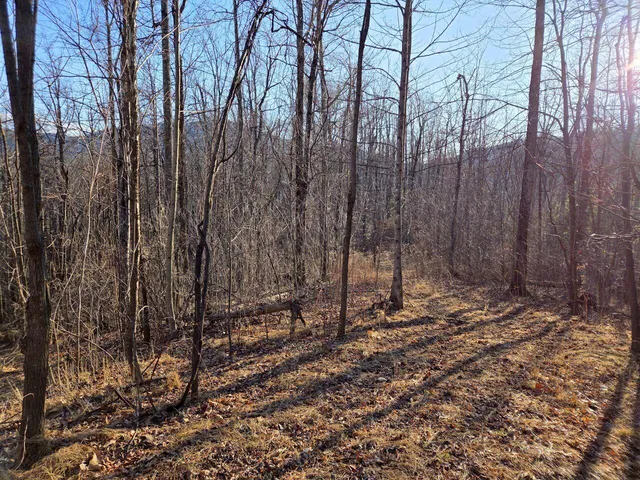 $99,950 | 0 Day Break Lane, Boones Mill, VA 24065