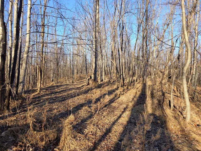 $99,950 | 0 Day Break Lane, Boones Mill, VA 24065