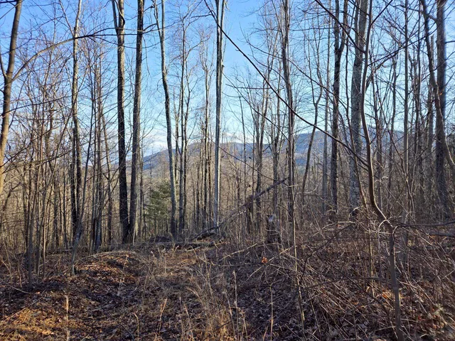 $99,950 | 0 Day Break Lane, Boones Mill, VA 24065