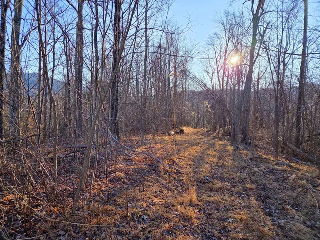 $99,950 | 0 Day Break Lane, Boones Mill, VA 24065