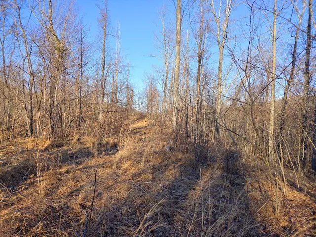 $99,950 | 0 Day Break Lane, Boones Mill, VA 24065