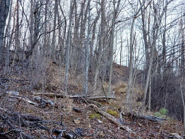 a close up of a sink