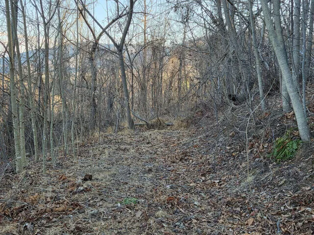 $99,950 | 0 Day Break Lane, Boones Mill, VA 24065