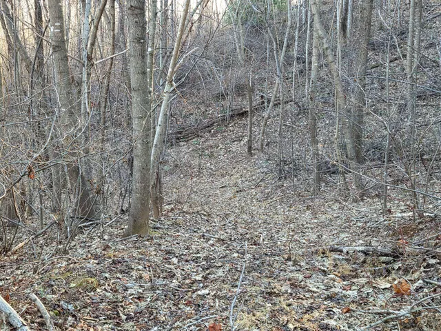 $99,950 | 0 Day Break Lane, Boones Mill, VA 24065