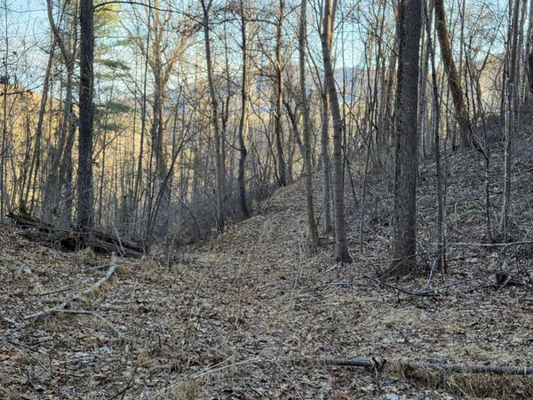 a view of a yard with brick walls
