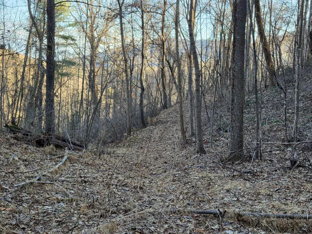 $99,950 | 0 Day Break Lane, Boones Mill, VA 24065