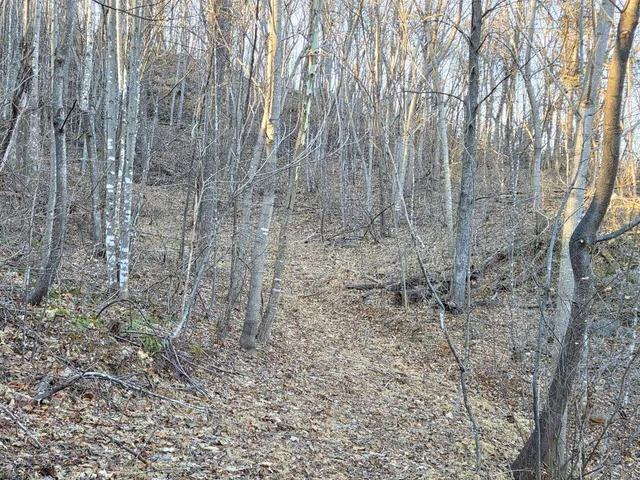 $99,950 | 0 Day Break Lane, Boones Mill, VA 24065