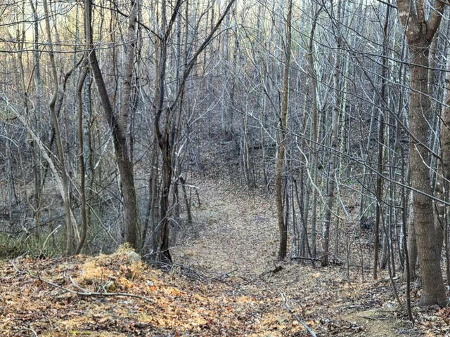 $99,950 | 0 Day Break Lane, Boones Mill, VA 24065