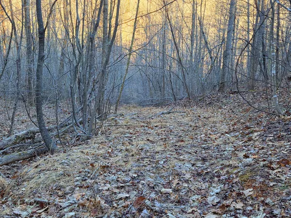 a view of wooden fence