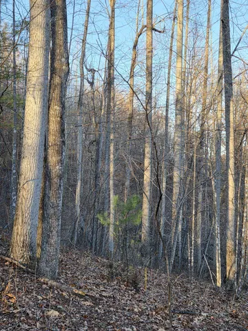 $99,950 | 0 Day Break Lane, Boones Mill, VA 24065