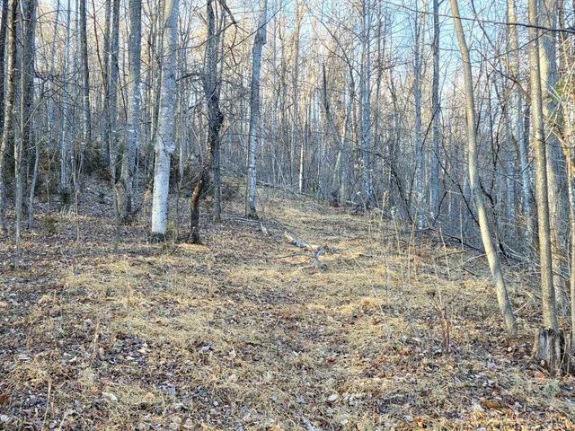 $99,950 | 0 Day Break Lane, Boones Mill, VA 24065